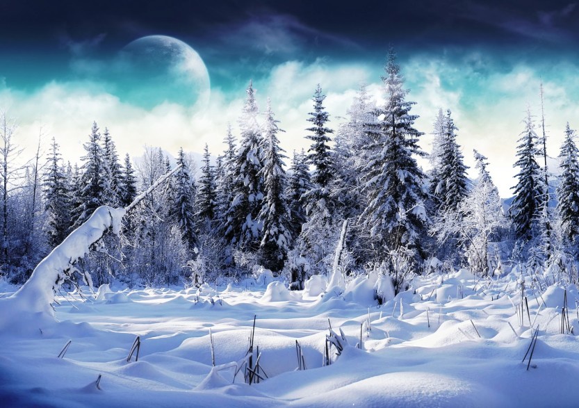 winter-wonderland-1600x1200